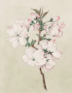 中国画鲜花花朵图片 中国画鲜花花朵图片