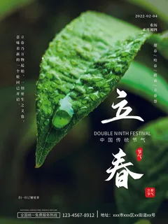 24节气立春春季新春春天海报模板PSD分层设计素材源文件模板