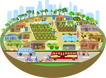 圆形田地现代农业