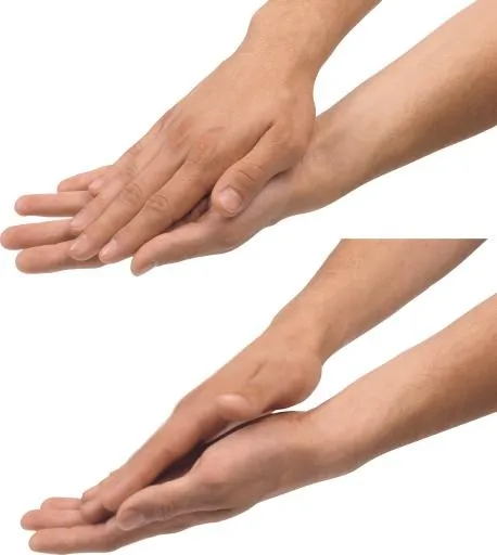 手 PNG免抠(2462x2749)