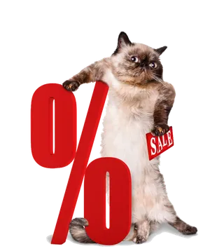 站立的猫咪素材