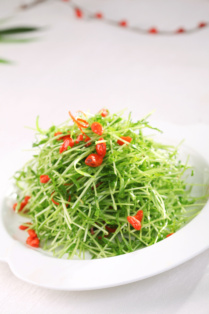 L02271枸杞苦菊