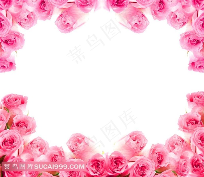 精美玫瑰花相框素材图片