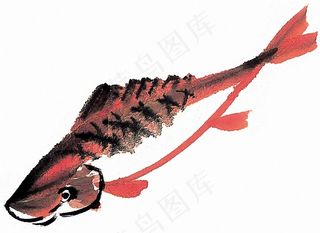 鱼虾蟹龟工笔图片素材