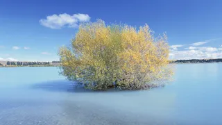 自然风光 高清壁纸 (139)