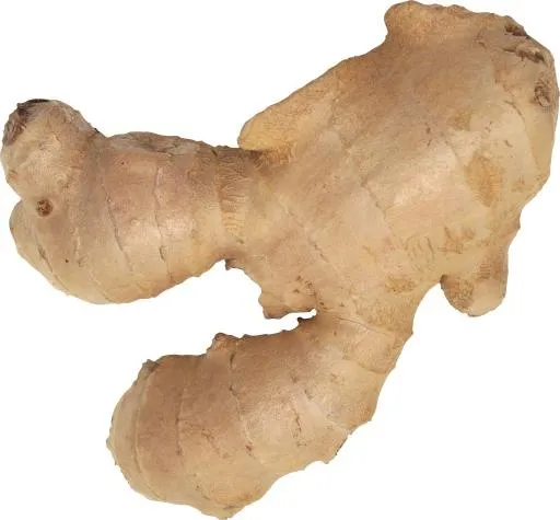 生姜 PNG免抠(3152x2926)