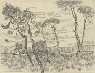 梵高围墙附近有六棵松树素描风景画