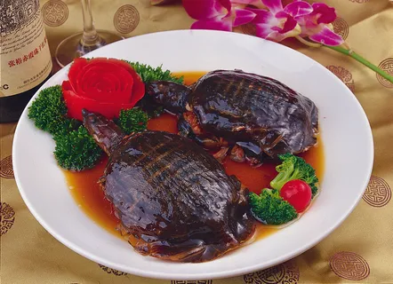 RCS-6581手撕甲鱼 RCS-6581手撕甲鱼