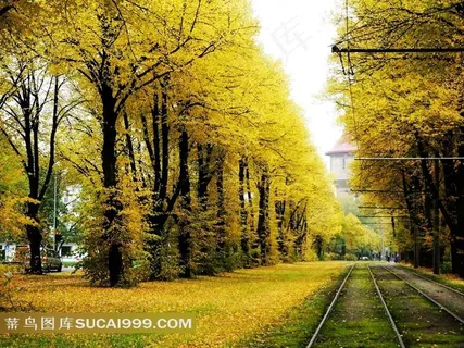 园林风景图片素材