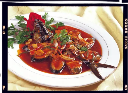 CXC01422红烧鲅鱼 CXC01422红烧鲅鱼