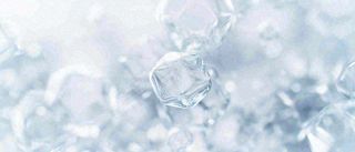 冬天冰枝冰冷枝叶雪球，小雪大雪冬至