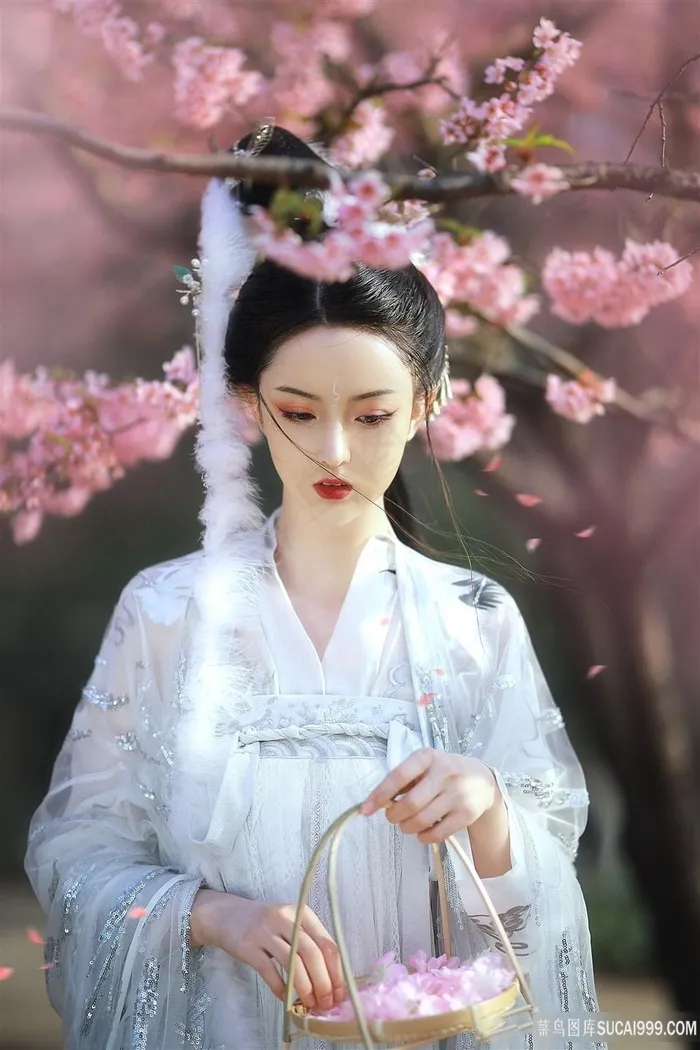 桃花族*古装美女艺术写真图片