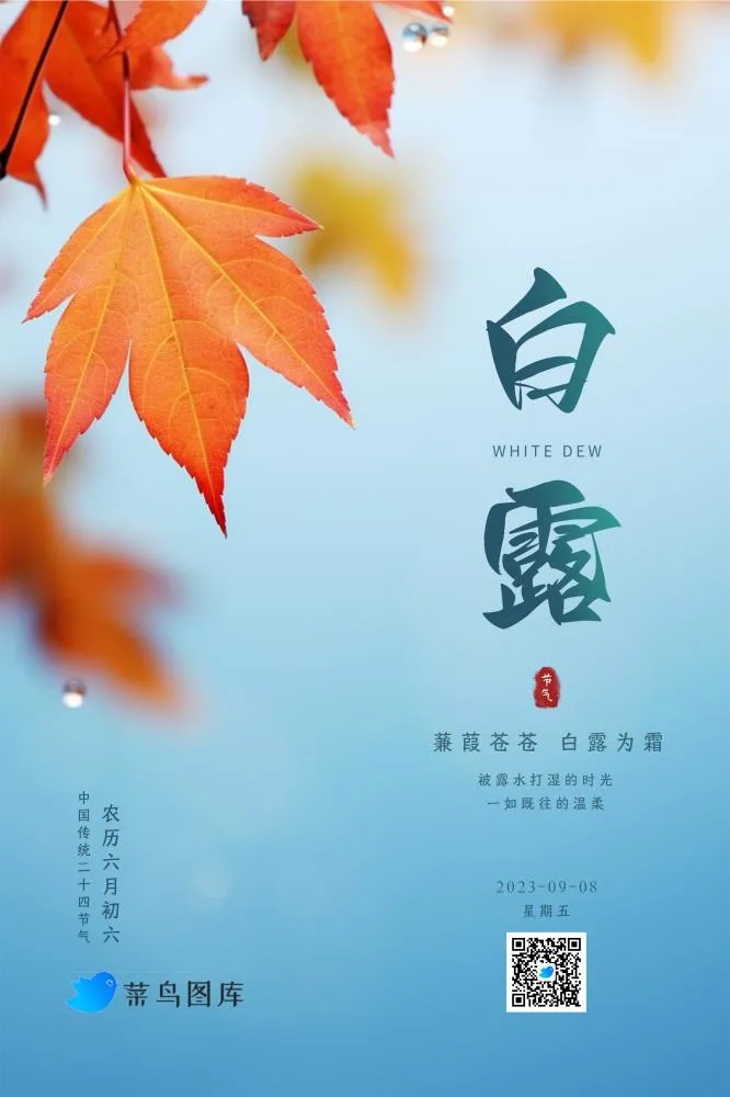 白露秋叶枫叶清新雨水节气海报(2362x3543)psd模版下载