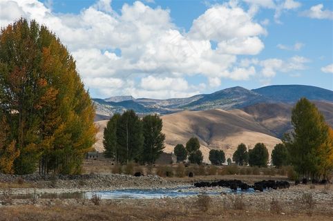 秋天的稻城旅游风景区傍河乡风光