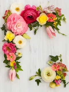 鲜花边框图片素材 鲜花边框图片素材