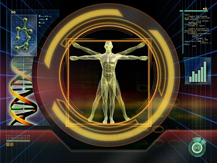 黄金人体研究系统界面