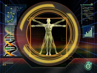 黄金人体研究系统界面