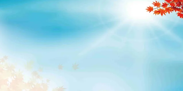 枫叶阳光蓝天白云蓝色背景