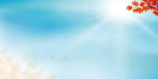 枫叶阳光蓝天白云蓝色背景