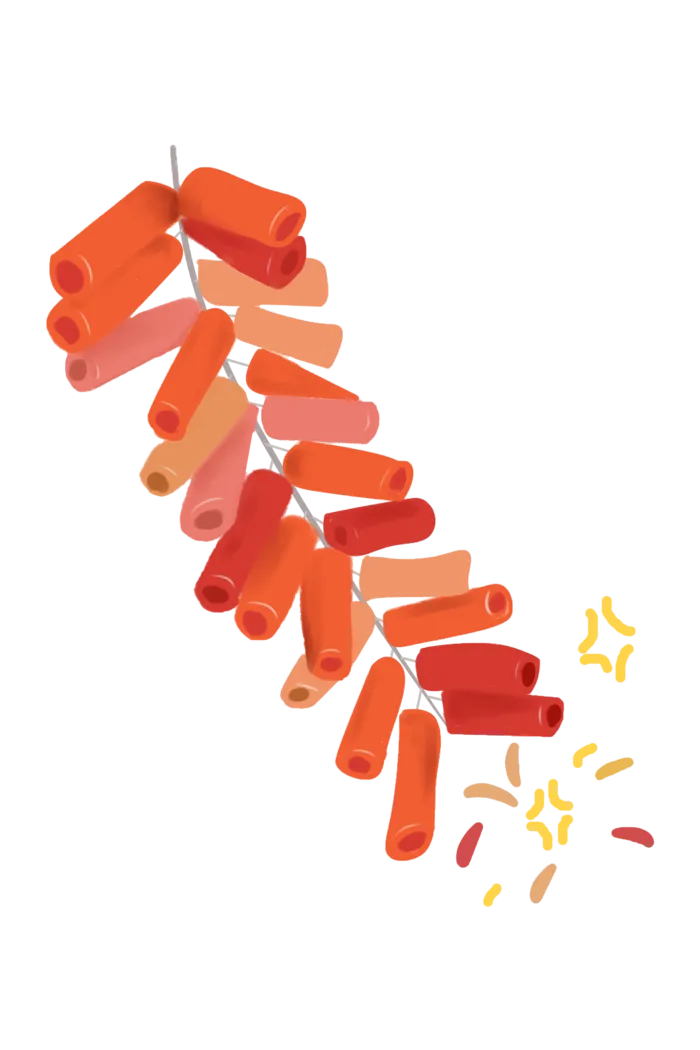 红色烟花爆竹免扣素材