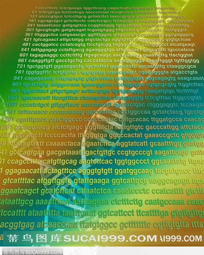 医学基因数码图-DNA分子图