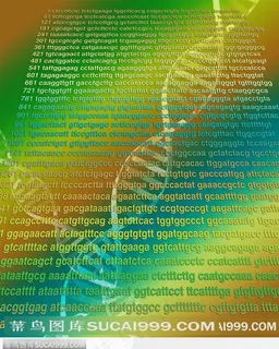 医学基因数码图-DNA分子图