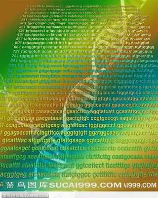 医学基因数码图-DNA分子图