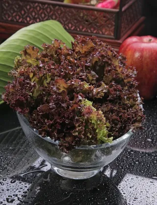 紫生菜火锅配菜美食设计素材