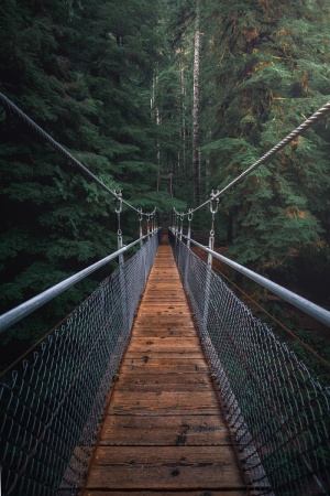 森林索道峡谷