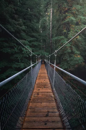 森林索道峡谷