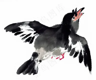 国画鸟大图摄影图片 国画鸟大图摄影图片