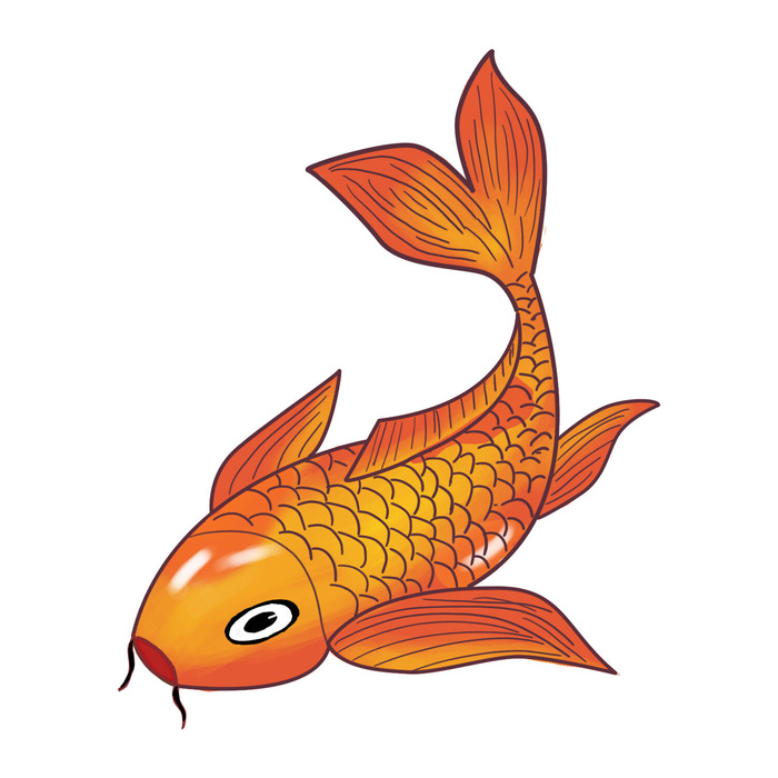 手绘烫金国潮中国风卡通锦鲤鱼金鱼插画装饰元素PSD设计素材