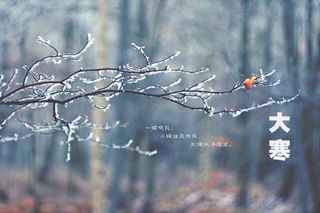 二十四节气大寒图片
