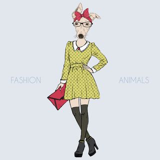 拟人动物 卡通头像