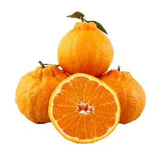 丑橘 (2)水果超市商品白底图免抠实物摄影png格式图片透明底