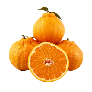 丑橘 (2)水果超市商品白底图免抠实物摄影png格式图片透明底