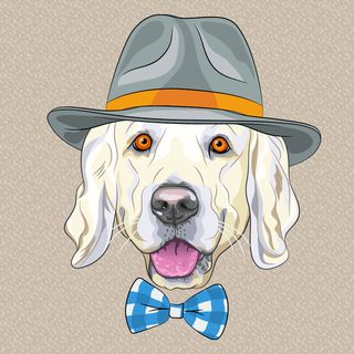 拟人动物 卡通头像