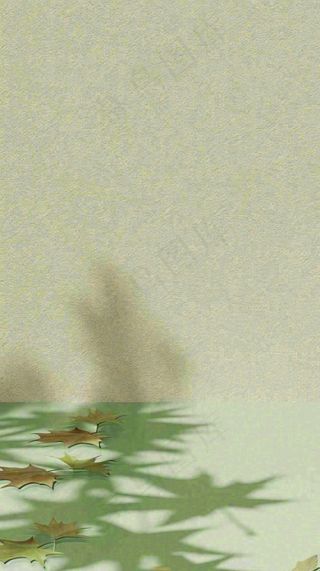 简约绿色叶子影子纹理