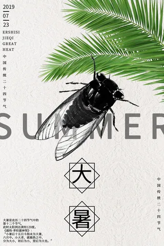 传统节日大暑海报