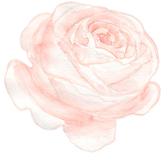 唯美森系手绘水彩花朵 免抠