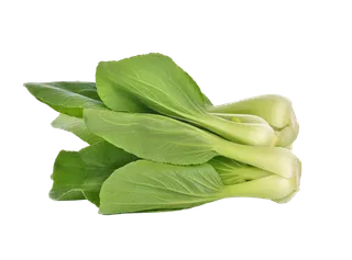 上海青 (17)超市商品白底图免抠实物摄影png格式图片透明底