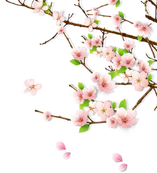 38妇女节三八女神女王粉色花朵玫瑰艺术字设计png免抠ps素材