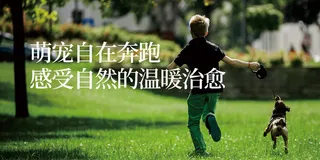 绿色大自然背景