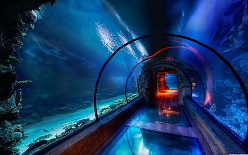 神奇壮观水底下的通道高清图片素材