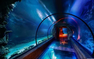 神奇壮观水底下的通道高清图片素材