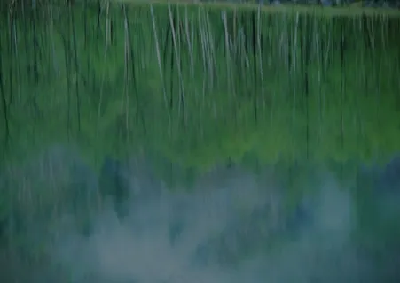 瀑布水域 516 瀑布水域 516