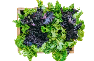 生菜 (22)超市商品白底图免抠实物摄影png格式图片透明底