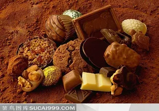 各种形状的巧克力曲奇饼干