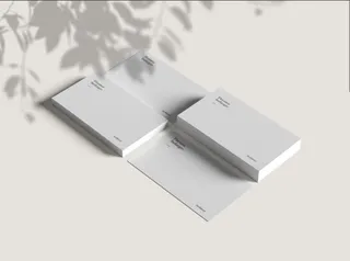 高端大气商务名片样机