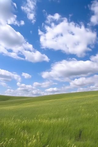 春天的蓝天白云草原很美背景图